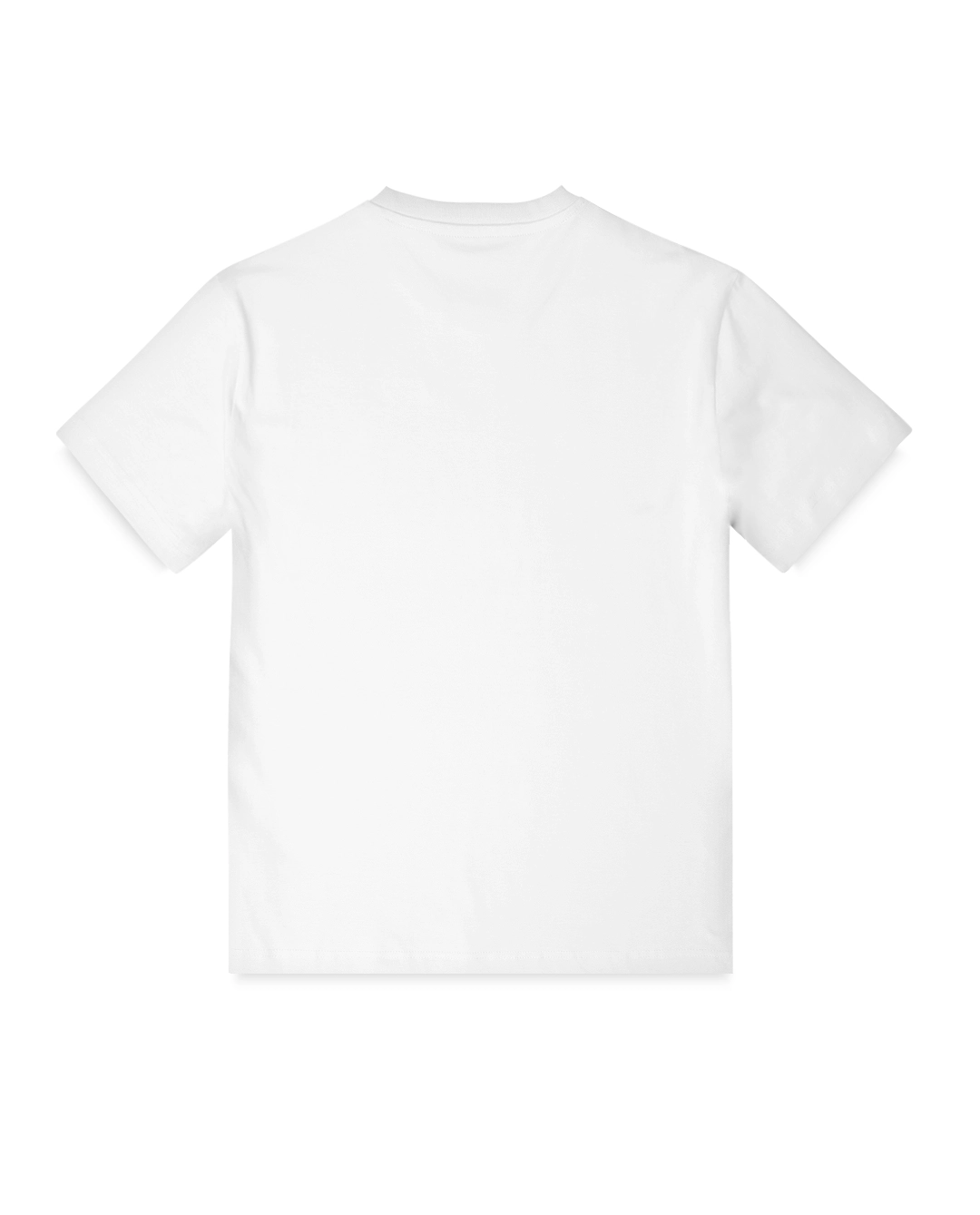 تی‌شرت مشترک بزرگسال