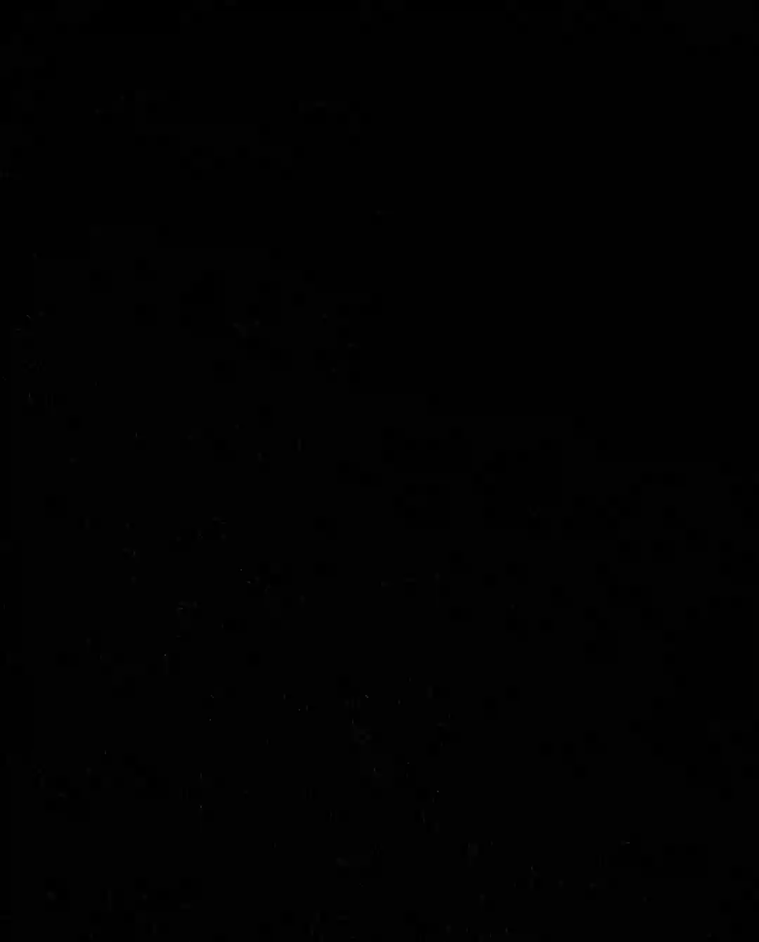 تی‌شرت مردانه